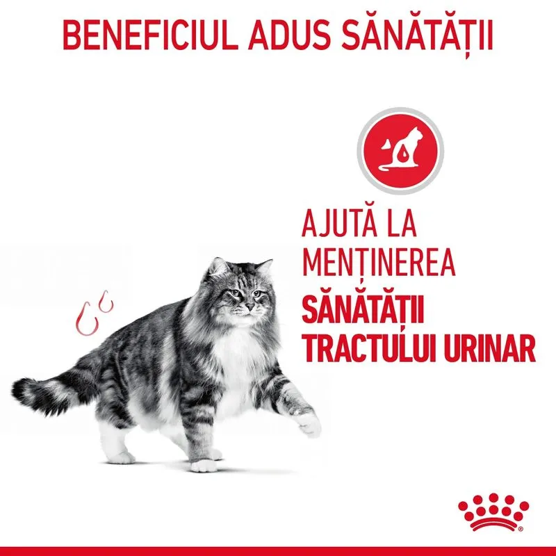 Royal Canin Urinary Care, Hrana Uscata Pisici Adulte, 10 kg [3]