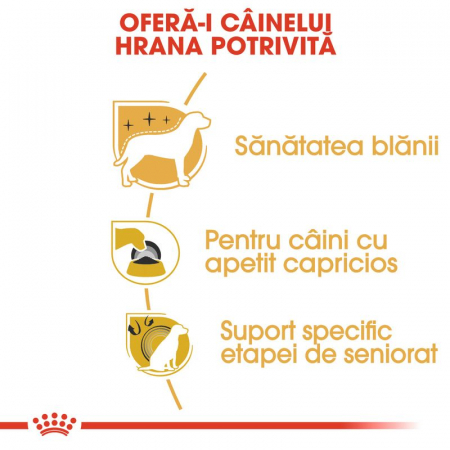 ROYAL CANIN Yorkshire Terrier, Hrana Uscata Caini Adulti, 1.5 Kg [4]
