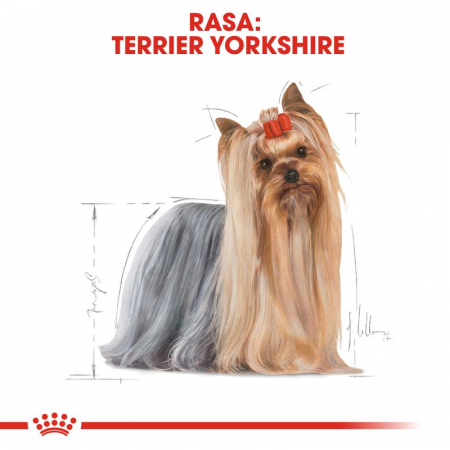 ROYAL CANIN Yorkshire Terrier, Hrana Uscata Caini Adulti, 1.5 Kg [2]