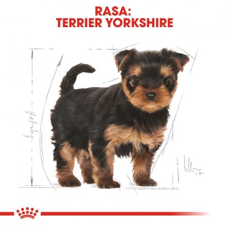 ROYAL CANIN Yorkshire Terrier Puppy, Hrana Uscata Caini Junior, 1.5 Kg [2]