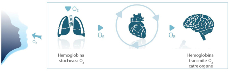 Pulsoximetru deget Beurer PO40 (saturatie oxigen, puls) [1]