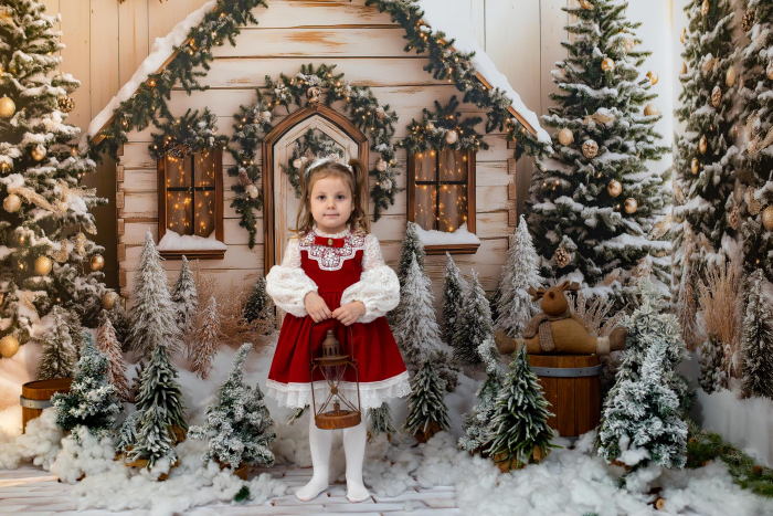 Rochita Magia Sarbatorilor [3]