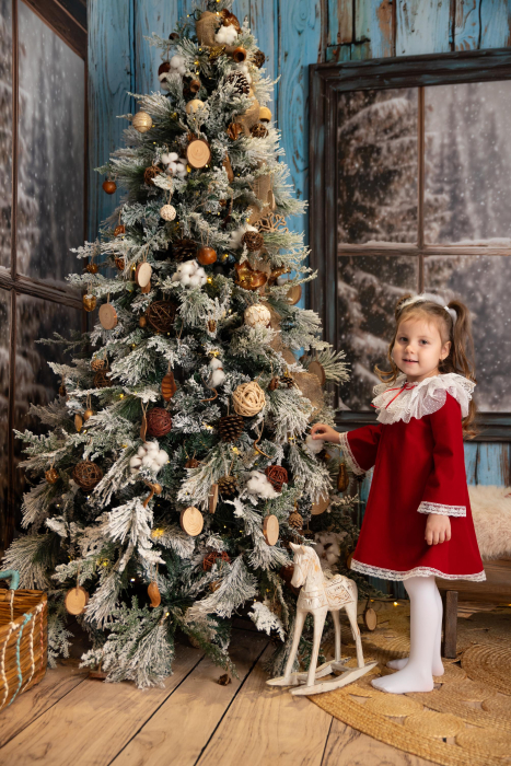 Rochita Vis de Crăciun [1]