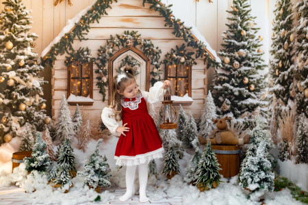 Rochita Magia Sarbatorilor [3]