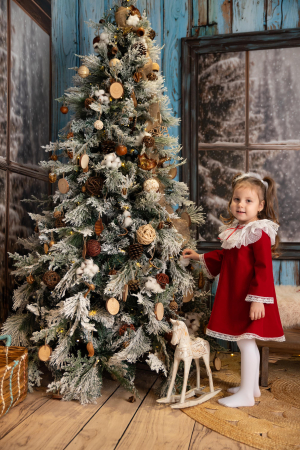 ROCHITE ELEGANTE FETE - Rochita Vis de Crăciun