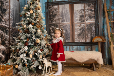 Rochita Vis de Crăciun [3]