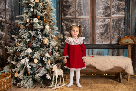 Rochita Vis de Crăciun [2]