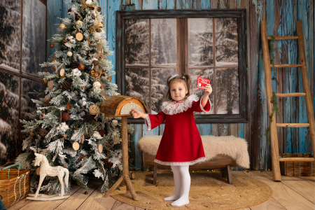 Rochita Vis de Crăciun [5]