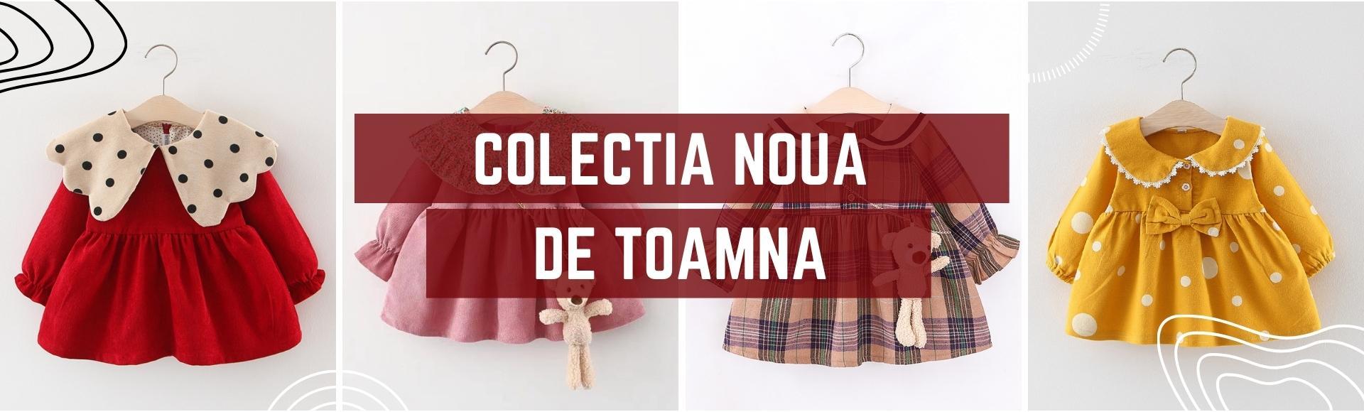 Rochite de toamna Little Dress