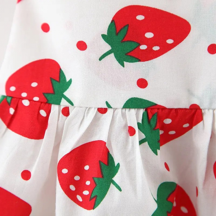 rochie-de-vara-cu-capsuni-funda-rosie-si-palarie-asortata.jpg [3]