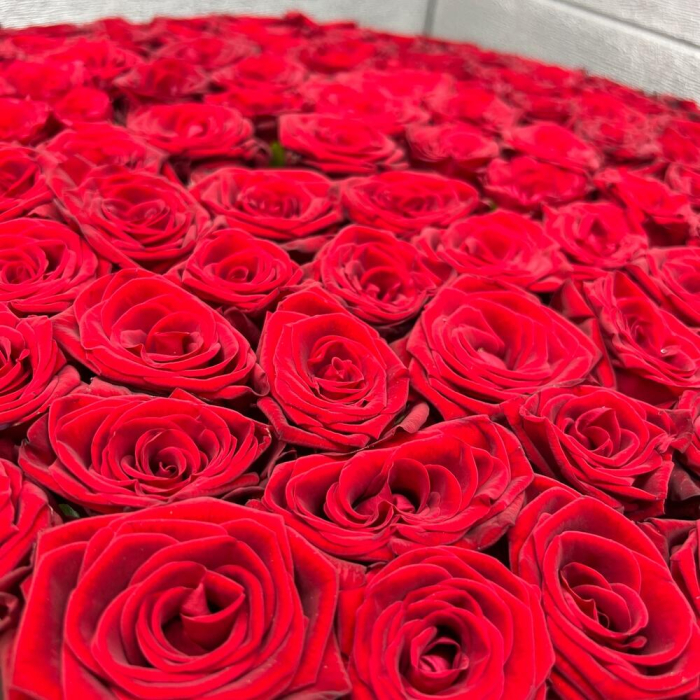 Cutie cu 101 Trandafiri Roșii [3]