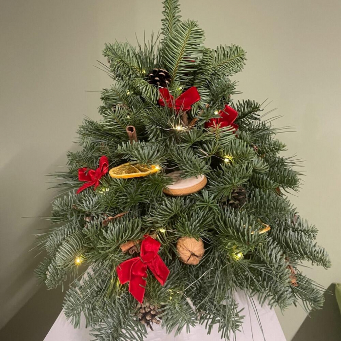 Brad făcut din ramuri de nobilis [2]