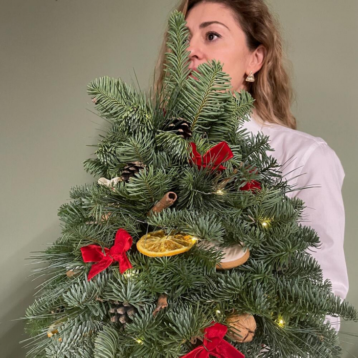 Brad făcut din ramuri de nobilis [3]