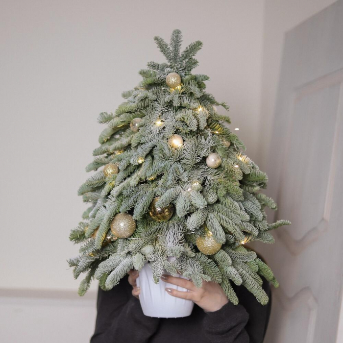 Brad de Crăciun Premium cu decorațiuni aurii și ghirlandă [3]