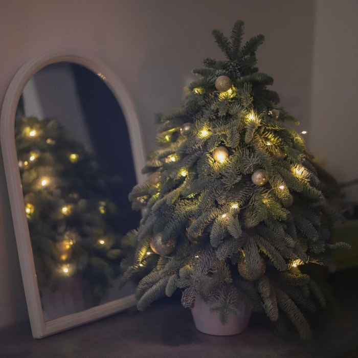 Brad de Crăciun Premium cu decorațiuni aurii și ghirlandă [2]