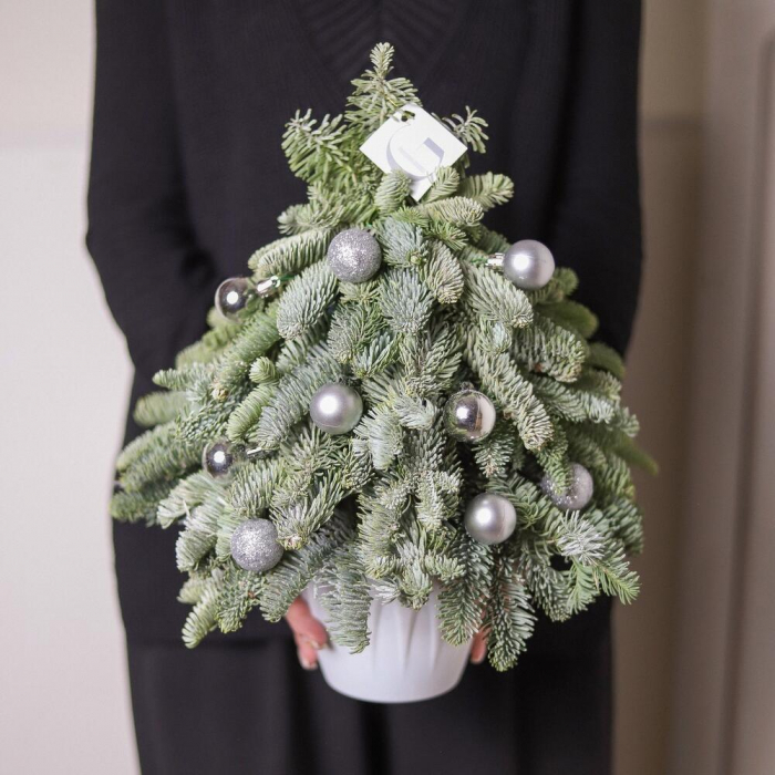 Brad Natural, Decor Festiv pentru Casă [5]