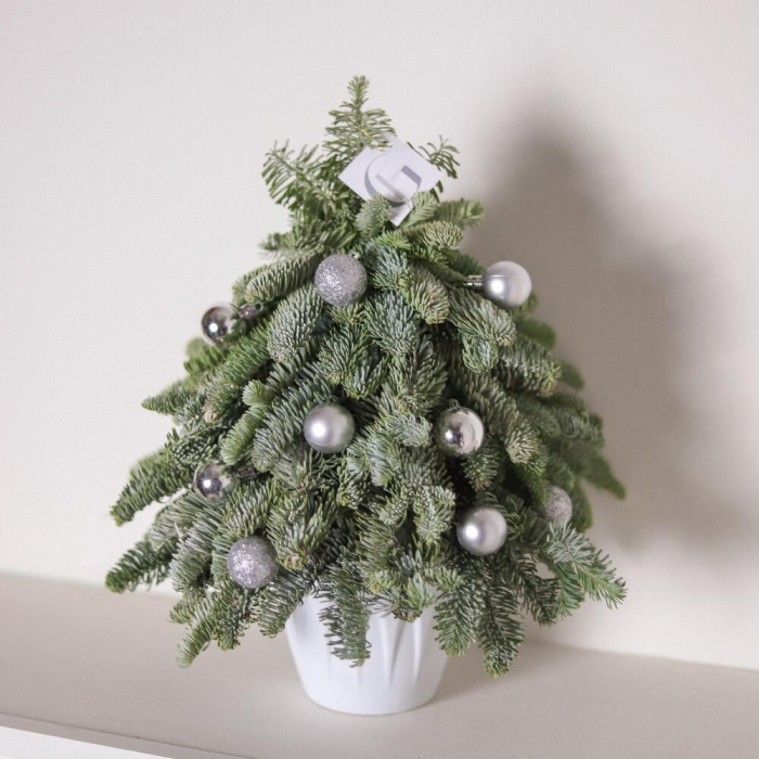 Brad Natural, Decor Festiv pentru Casă [2]