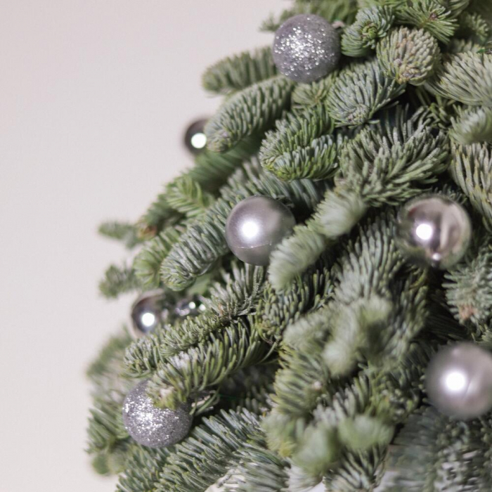 Brad Natural, Decor Festiv pentru Casă [6]