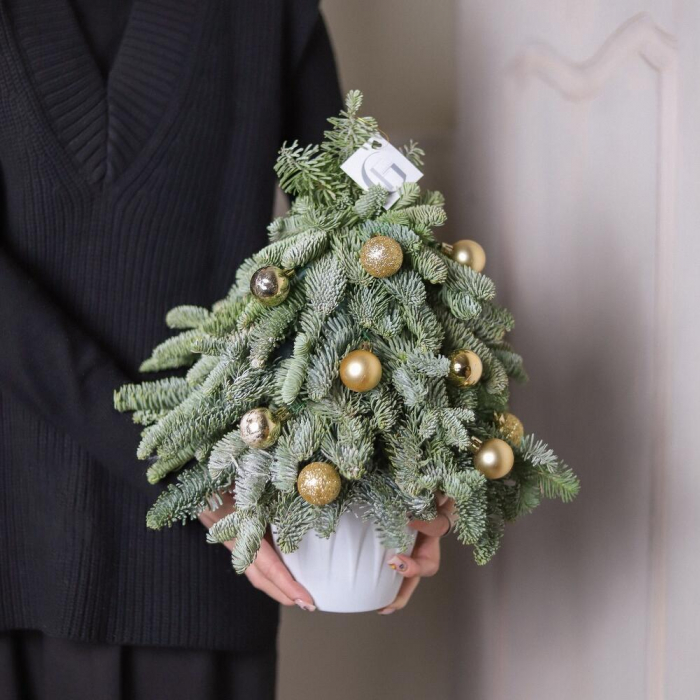 Brad Natural, Decor pentru Casă [2]