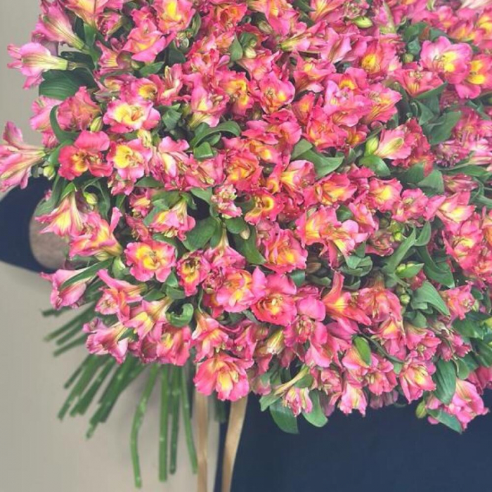 Buchet din 101 Alstroemeria [2]