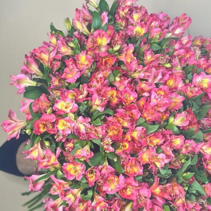 Buchet din 101 Alstroemeria [3]