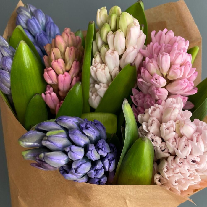 Buchet de Zambile Parfumate [2]