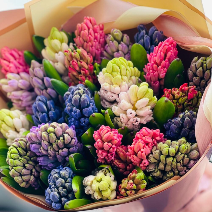 Buchet din 25 Zambile Multicolore [3]