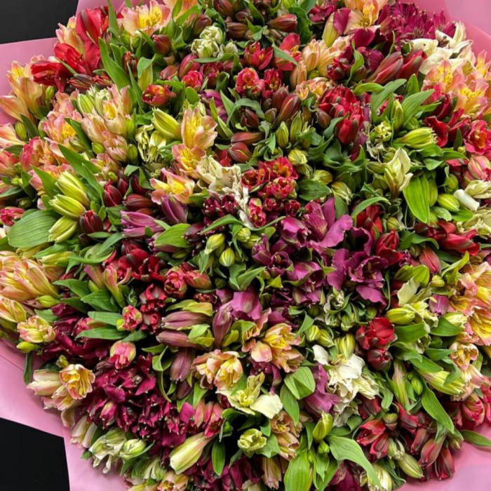 Buchet din 101 Alstroemeria Multicolor [3]