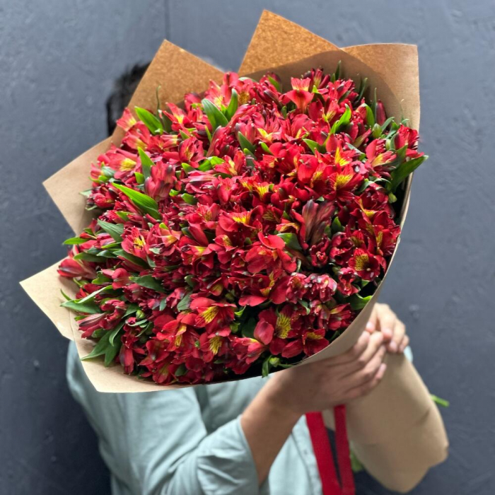 Buchet Roșu din 35 Alstroemeria [2]