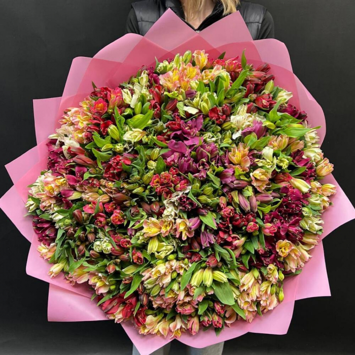 Buchet din 101 Alstroemeria Multicolor [2]