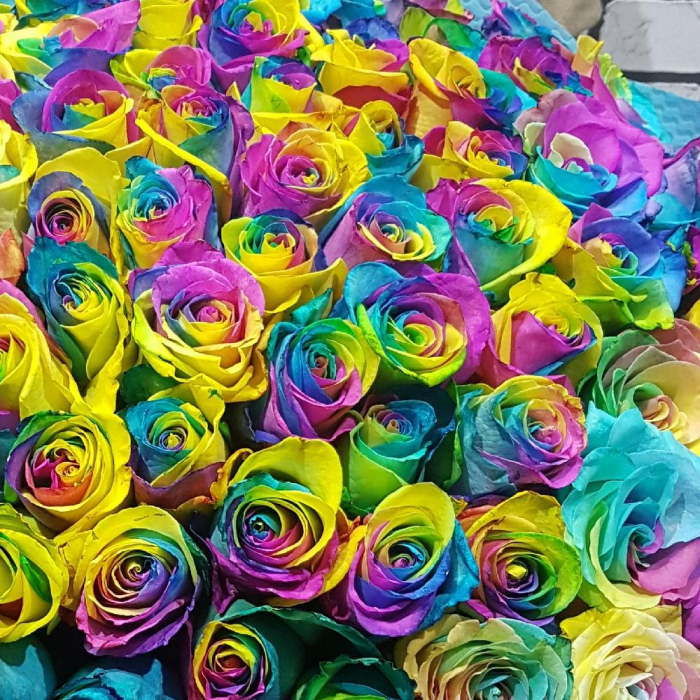 Buchet din 101 Trandafiri Rainbow București [3]
