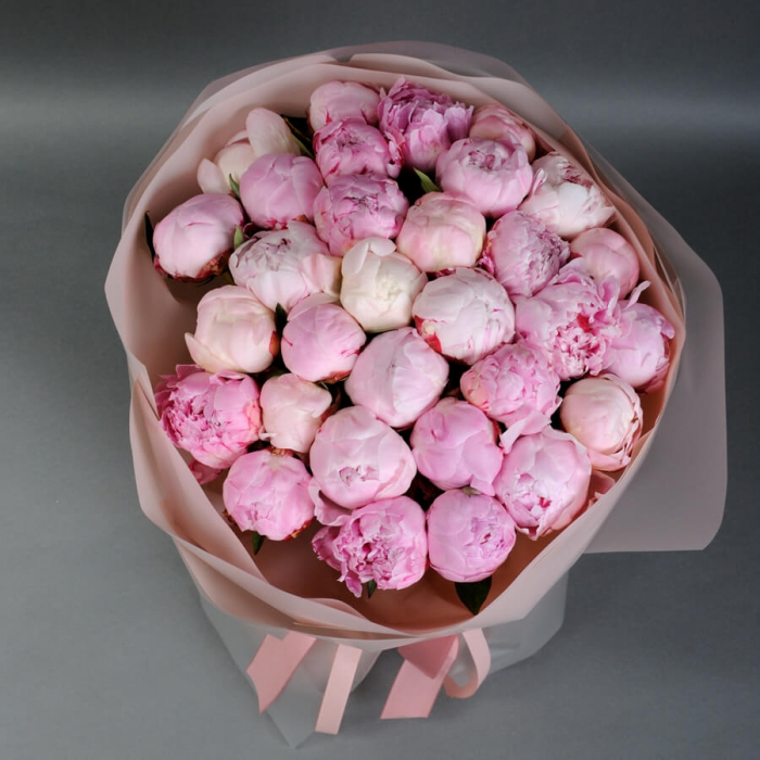 Buchet din 25 Bujori Roz [4]