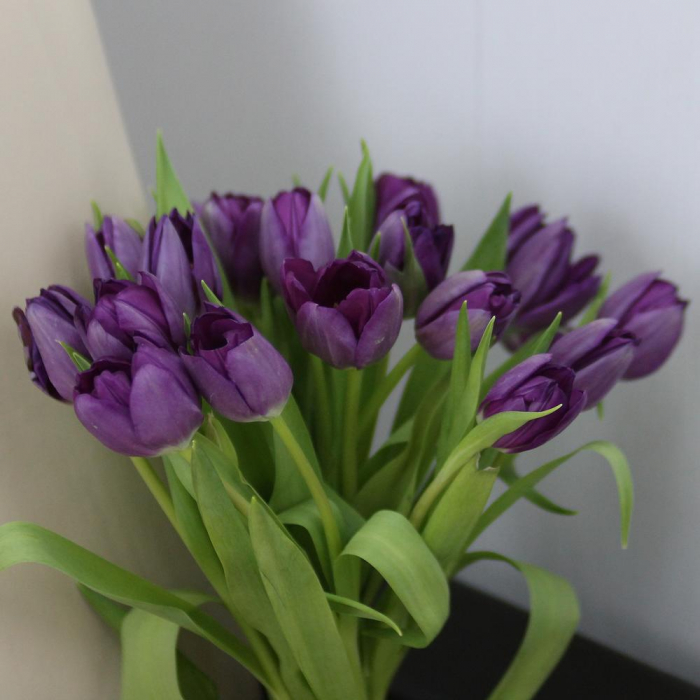 Buchet din 15 Lalele Mov [3]