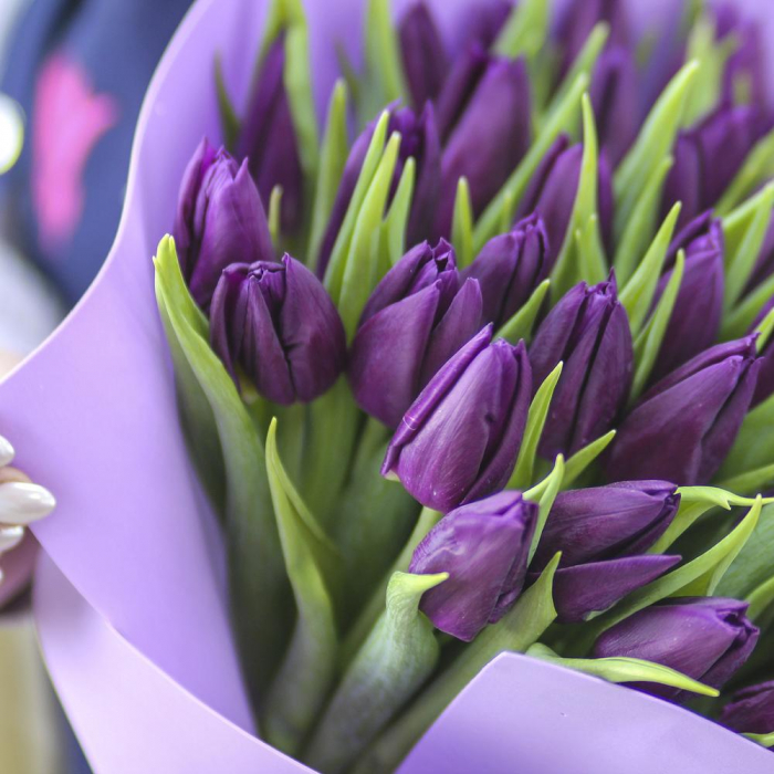 Buchet din 51 Lalele Mov [4]