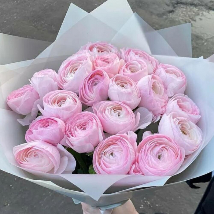 Buchet din 21 Ranunculus Roz [2]