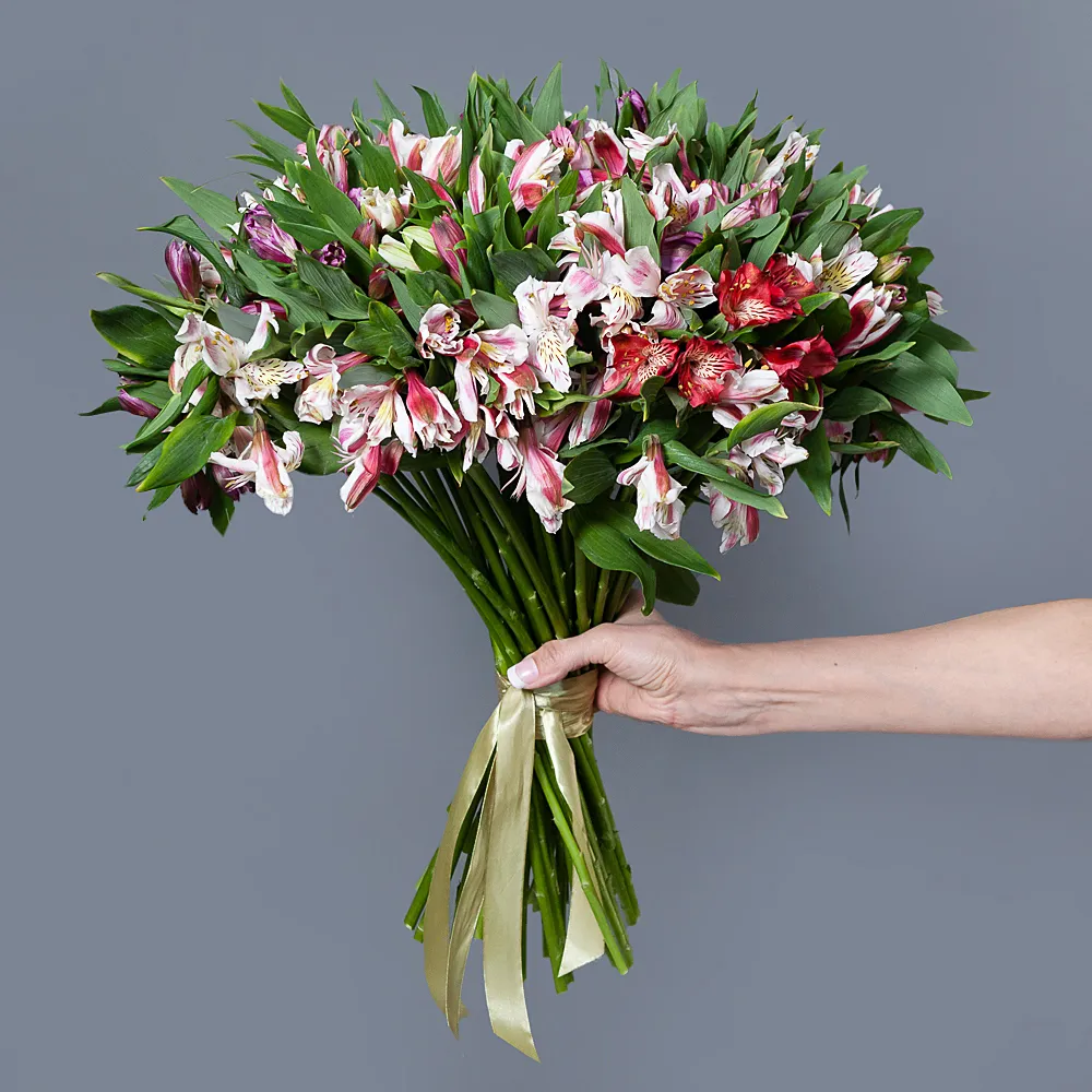 Buchet din 51 Alstroemeria [2]