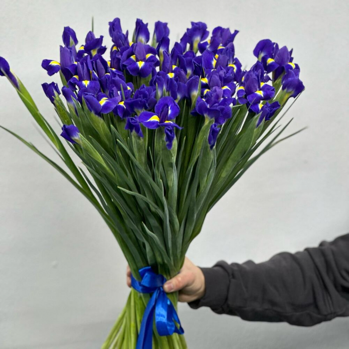 Buchet din 59 Iriși Mov [3]