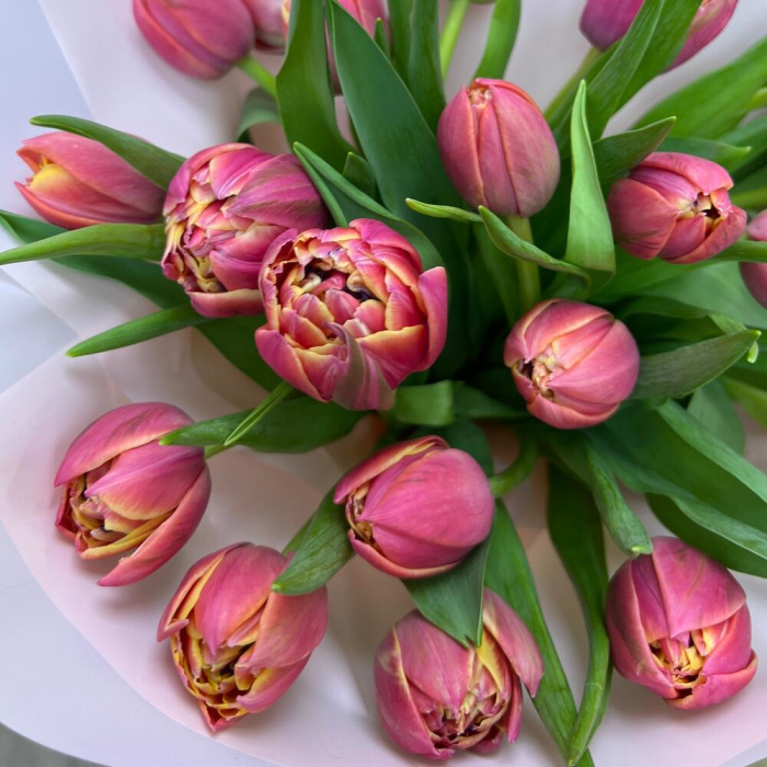 Buchet din 21 Lalele Roz Corai [4]