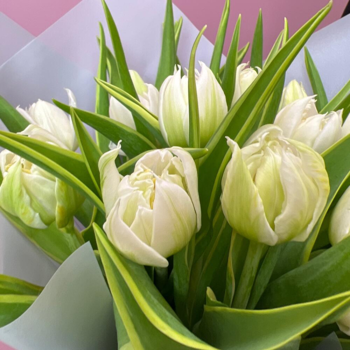 Buchet din 21 Lalele Roz Albe [3]