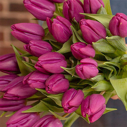 Buchet din 25 de lalele mov [2]