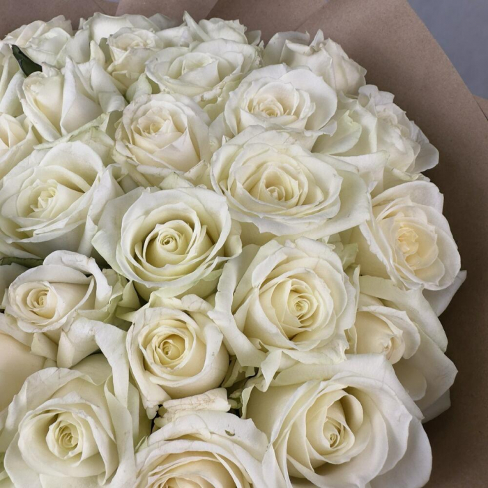 Buchet din 35 Trandafiri Albi [6]