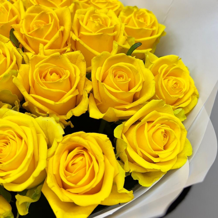 Buchet din 25 Trandafiri Galbeni [6]