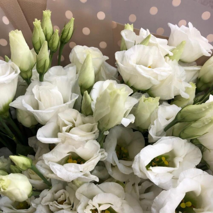 Buchet din 11 Lisianthus Albi București [4]