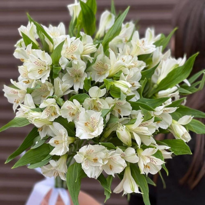 Buchet din 19 Alstroemeria Albe [3]