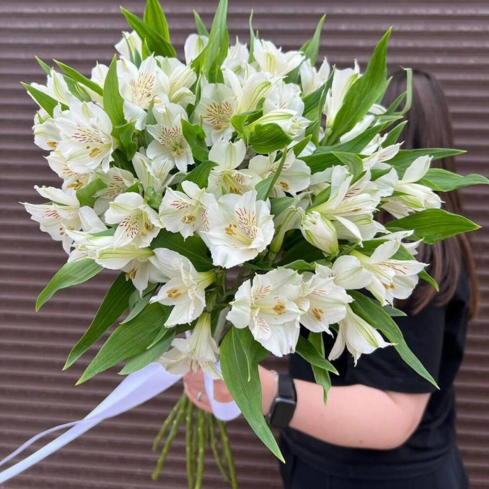 Buchet din 19 Alstroemeria Albe [2]