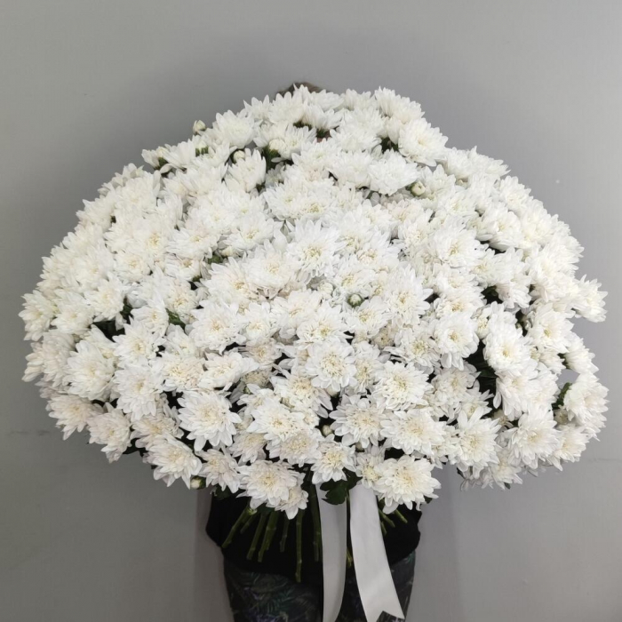 Buchet din 51 Crizanteme Albe [2]