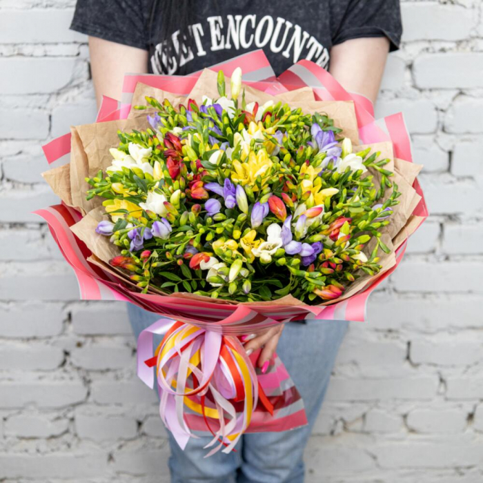 Buchet din 51 Frezii Multicolore [2]
