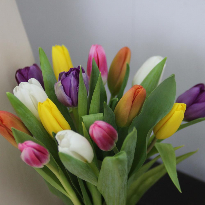 Buchet din 15 Lalele Multicolore [3]