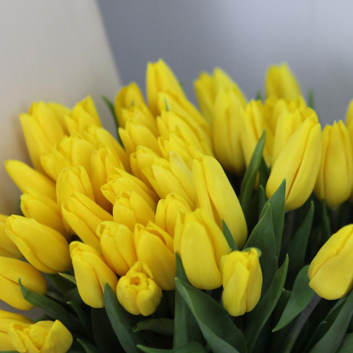 Buchet din 51 Lalele Galbene [3]