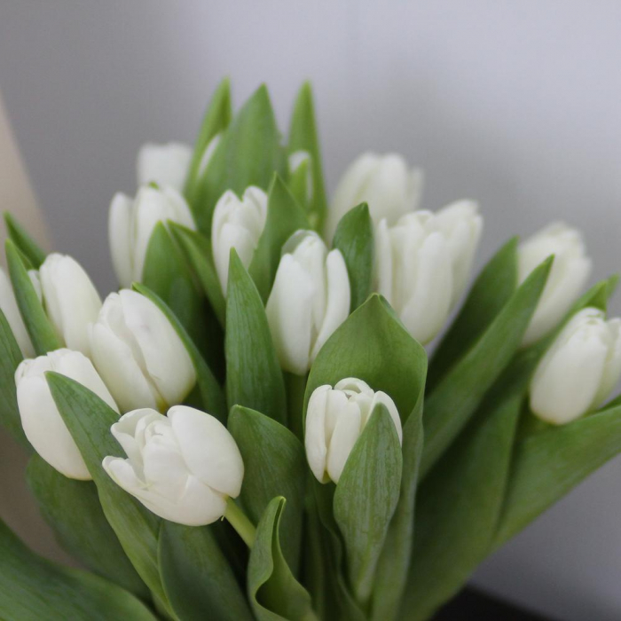 Buchet din 15 Lalele Albe [3]